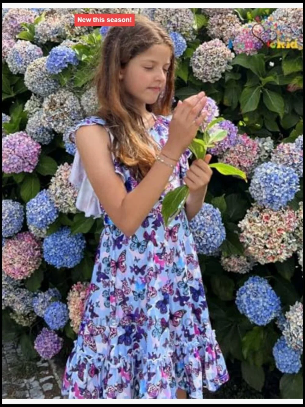 N/A flutter ruffle